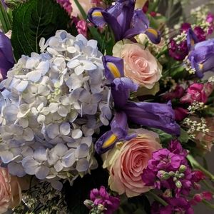 Meet your Posher, Kat